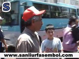 DOMATESLER YOLA SAÇILDI