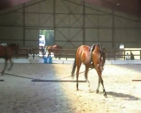 Les ecuries du val de l'eure