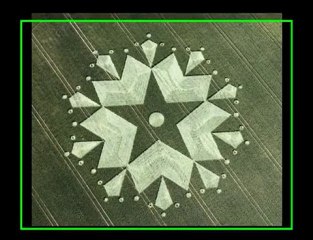 Crop Circle,WILTSHIRE UK 03.07.2010