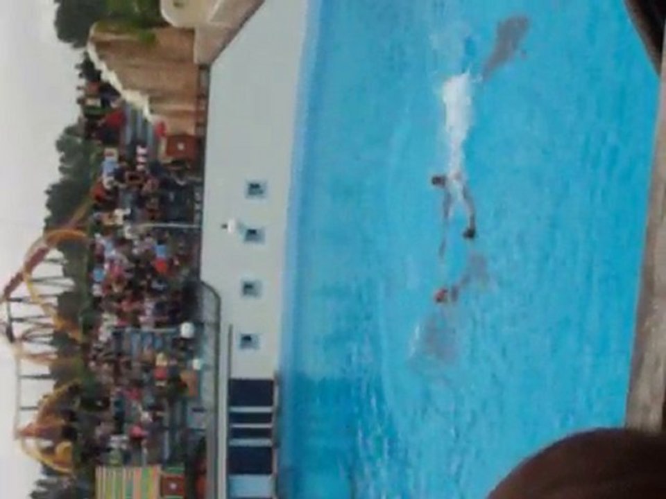 SPECTACLE REVERENCE PARC ASTERIX 5