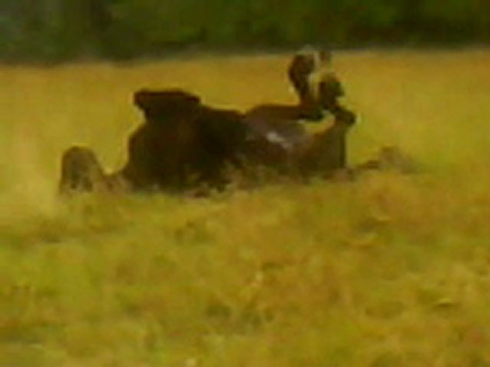 Lilou roule !