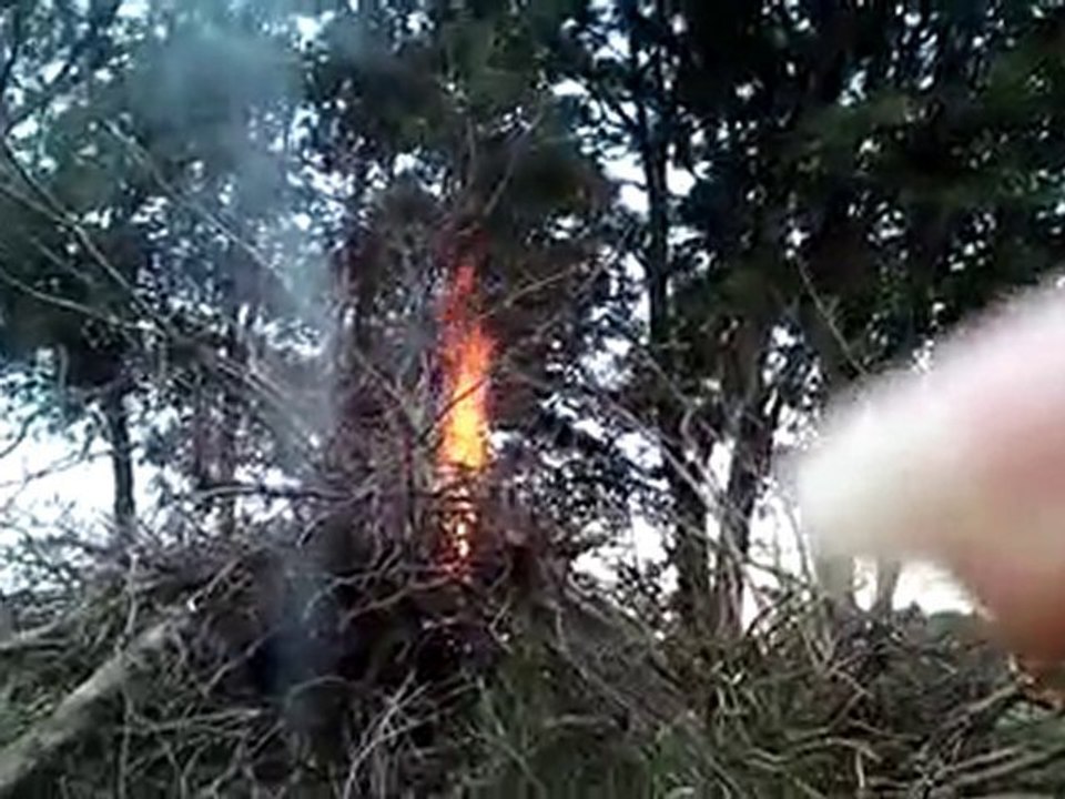 V030710_20.53