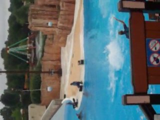 PARC ASTERIX SPECTACLE "REVERENCE" 6