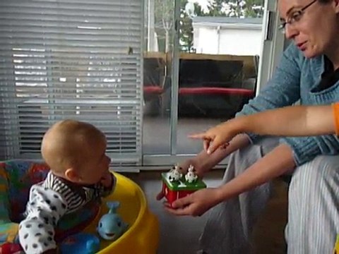 vaches suisses tournicottent...