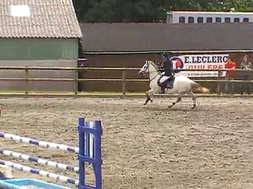 CSO Guilers 13 juin 2010 : Kook et moi GP 105