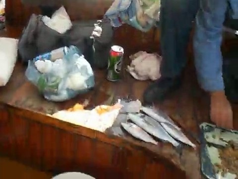 FOÇA'DAN ÇİPURA GİBİ GELEN KARAGÖZ