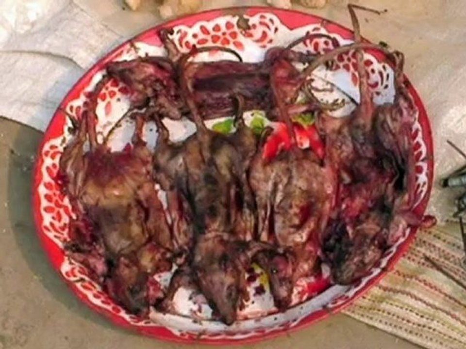 They Eat Dogs Don't They? Vietnam. Episode 20-3min