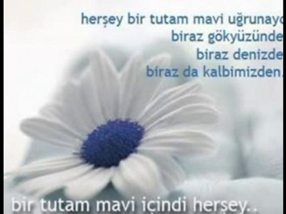 SEMA DA AY IŞIĞI 1