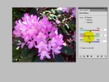 Photo Editing Basics Part 4 - Improving the quality of color