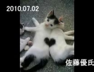 2010.07.02 佐藤優1