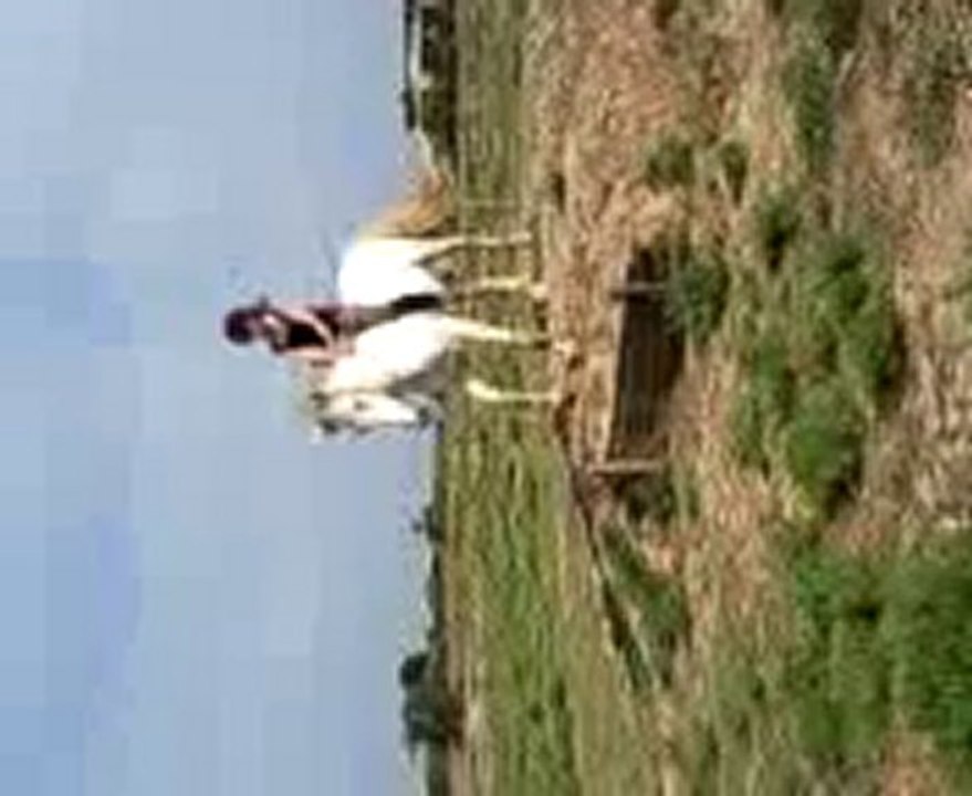 Galopin & Pauline au contre bas à cru. 16 Mai :)