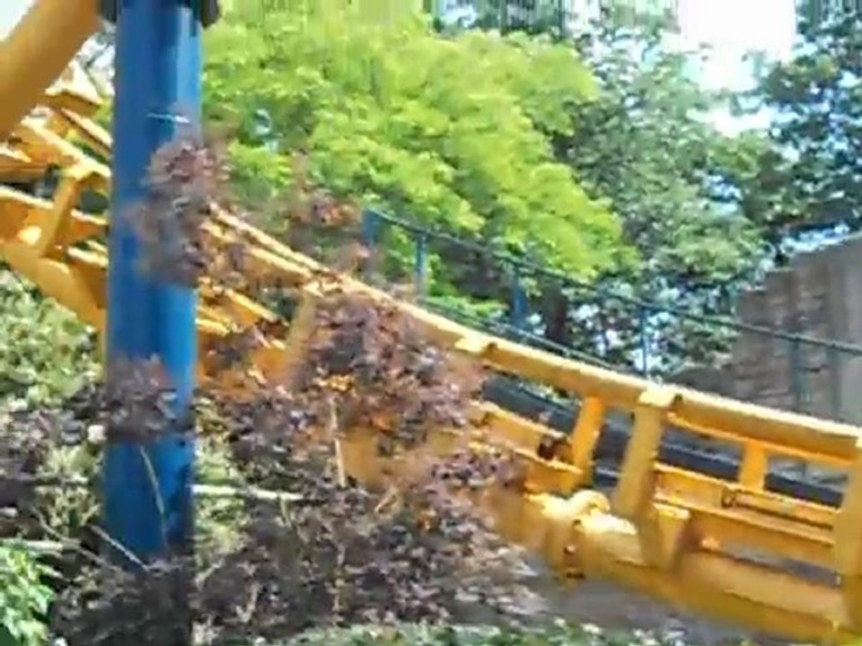 Bellewaerd park