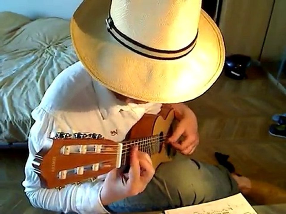 Prelude Ré mineur JS Bach (BWV 999) guitalele