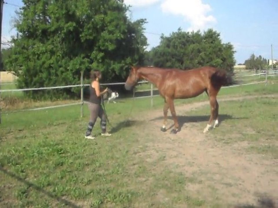 Lundi 28 Juin