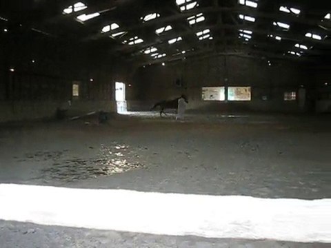 roitelet premiere barres et premier galop