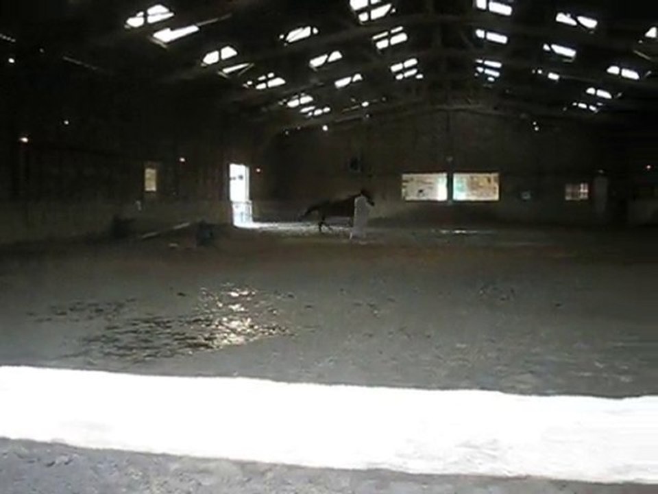 roitelet  premiere barres et premier galop