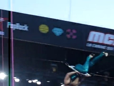 PINK dans les airs au main square festival le 4 juillet 2010