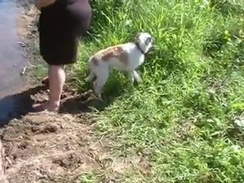 chez Chloé 4