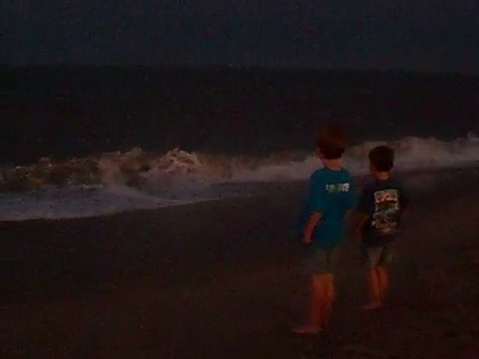 Jacob and Sam on Rehoboth Beach 6/28/2010