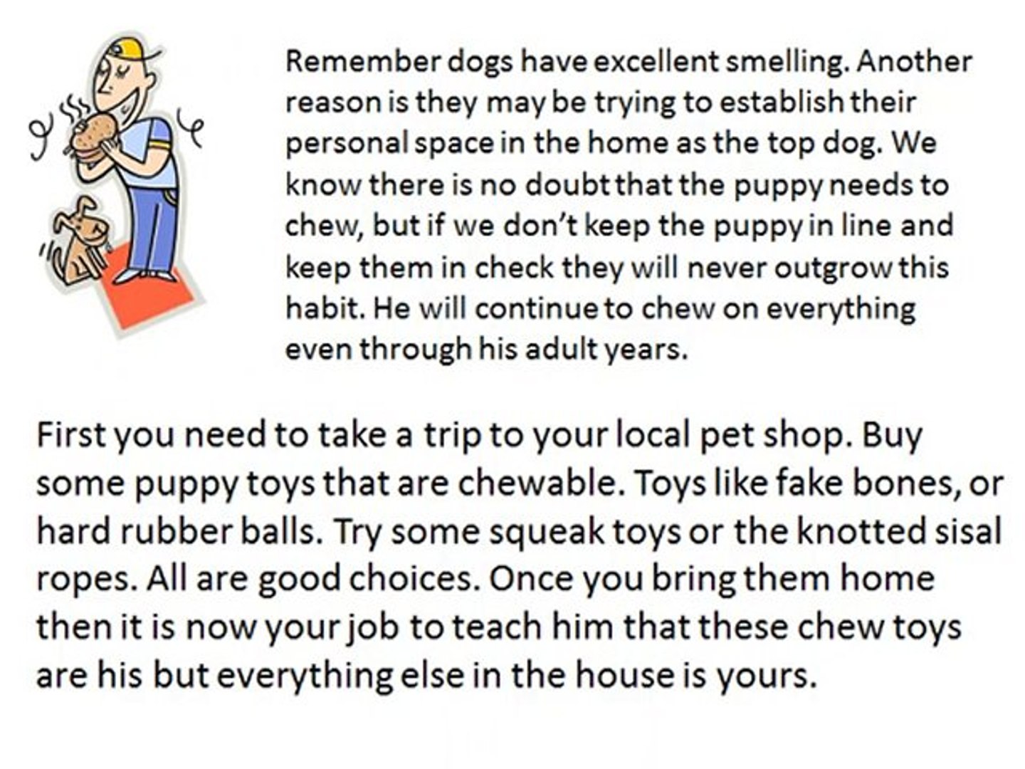 Studded Dog Collars Custom Dog Collars Leather Dog Collars