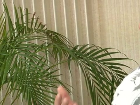 20. Compte-rendu de l’exercice des délégations au Maire