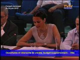 CONSEIL MUNICIPAL MONTREUIL (24/06/2010) - Point 13a