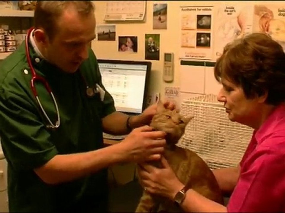 Banstead Village Veterinary Surgery - Vets in Sutton