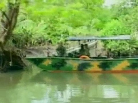 Ecuadorean authorities seize drug-smuggling sub