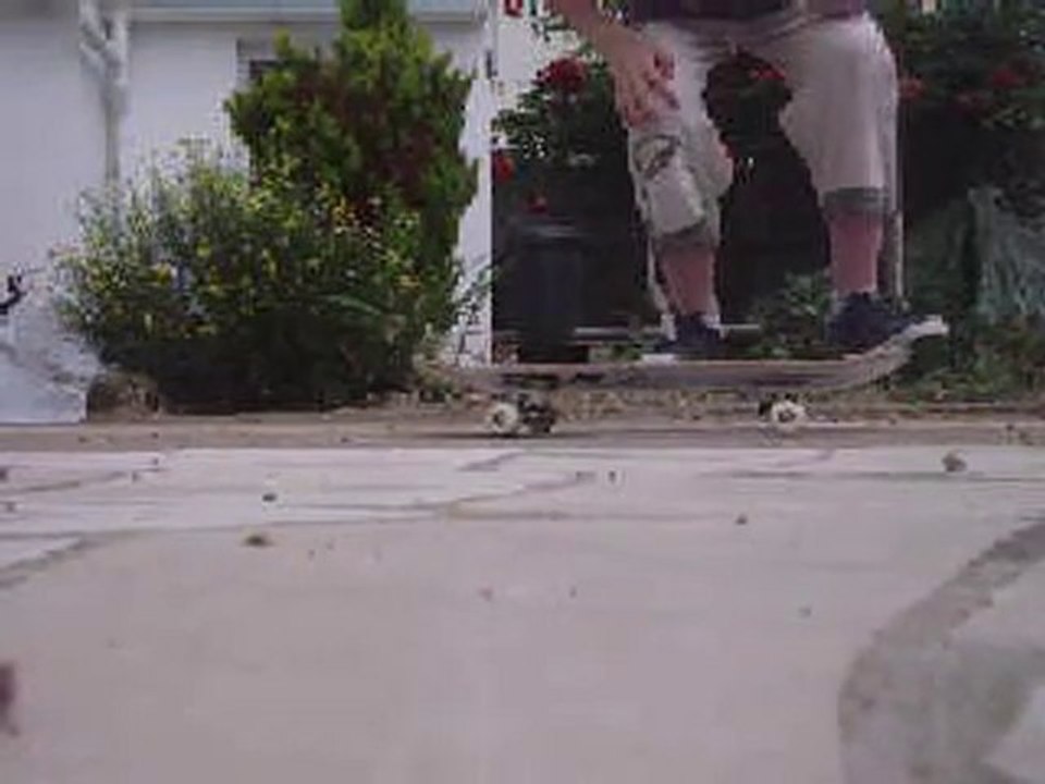 Le jours suivant encore un Ollie.