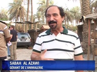 Bagdad : A saisir : un lion, deux ours et des loups !