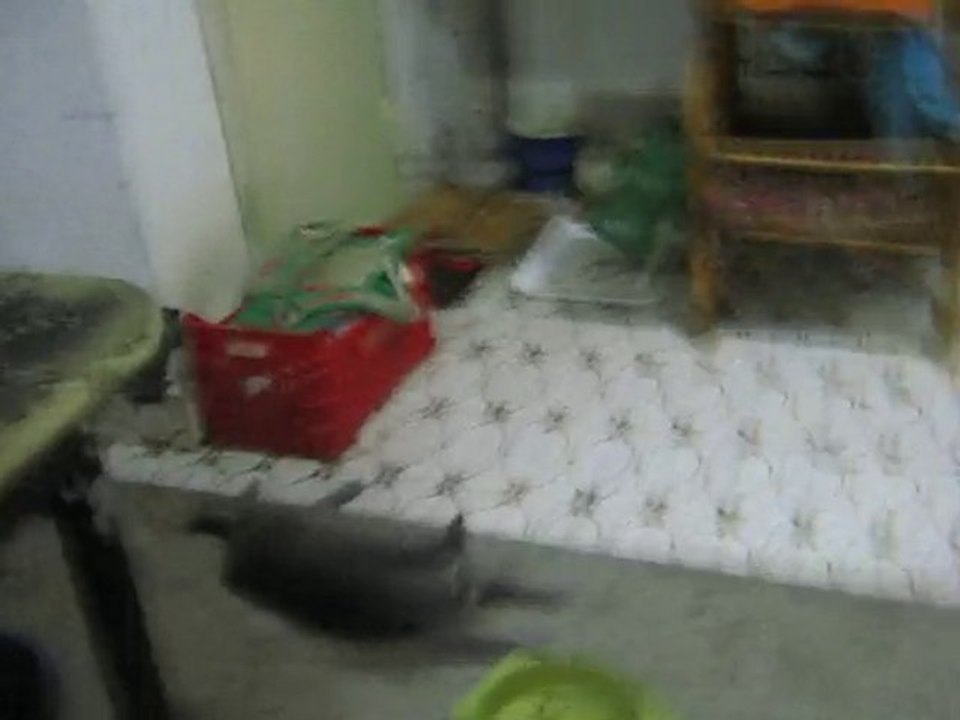 i miei nipoti ^^ 2