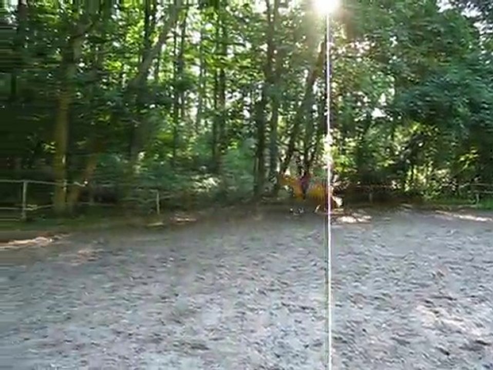 Galop M-L et Lola