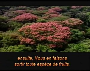 Signe : le vent - Qui sème l'injustice récolte la tempête