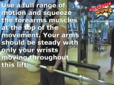Barbell Behind Back Forearm Curl