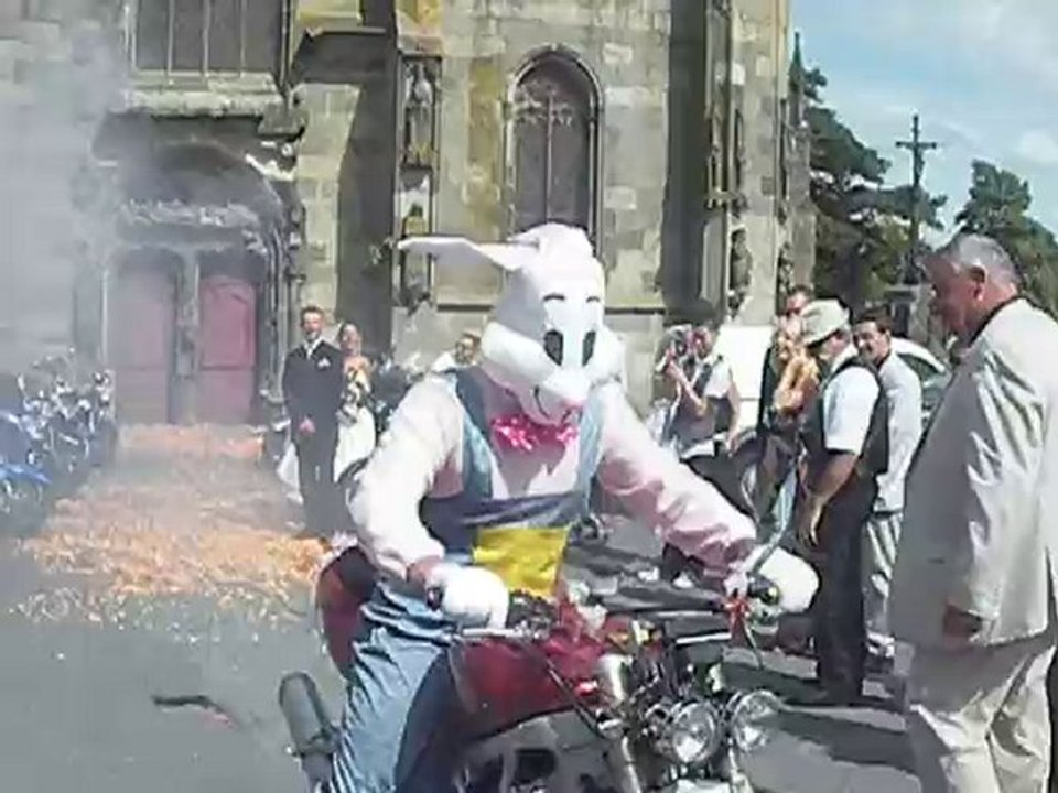 pistons du leon lapin cretin