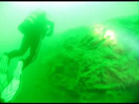 plongée au Roussay Juillet 2010