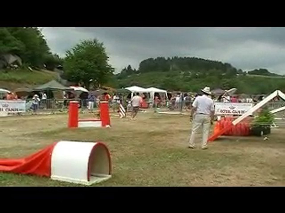 GPF 2010 Affy