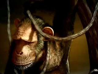 Réchauffement climatique