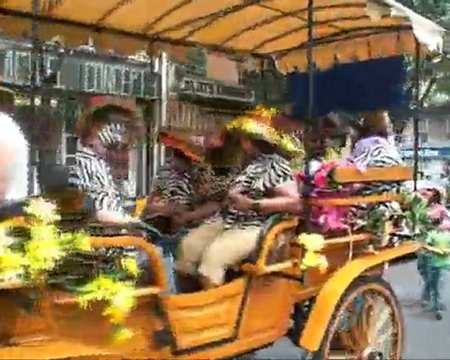 canaval tropical 2010 n.1