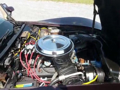 1981 Dark Claret Corvette 4spd