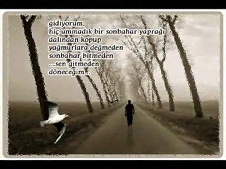 mhtm br şir