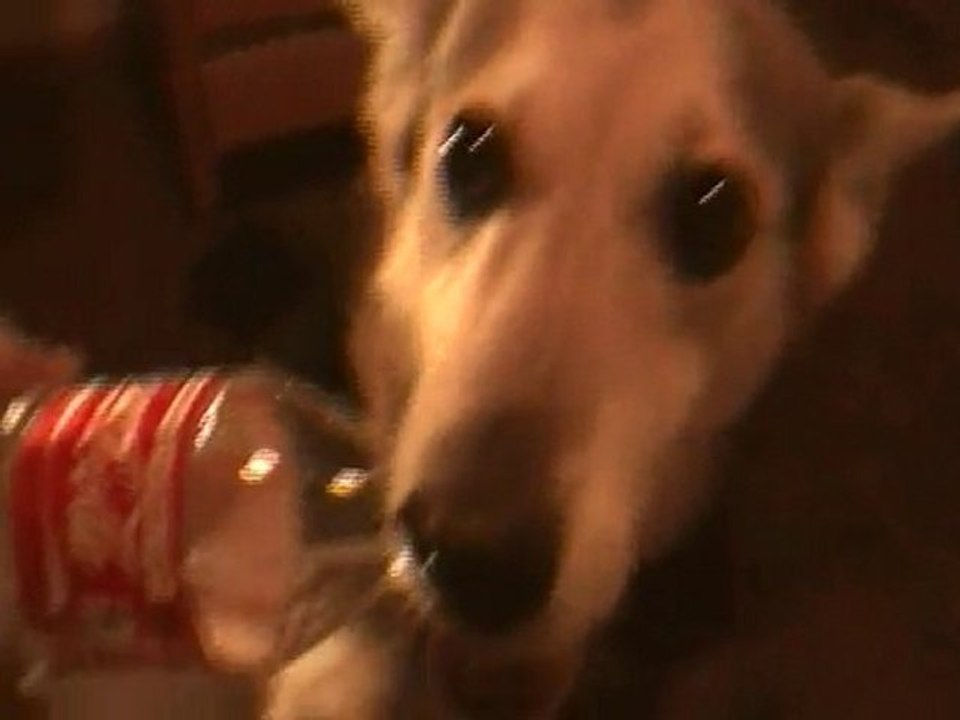 Una vez más...la nena de la casa....jugando...