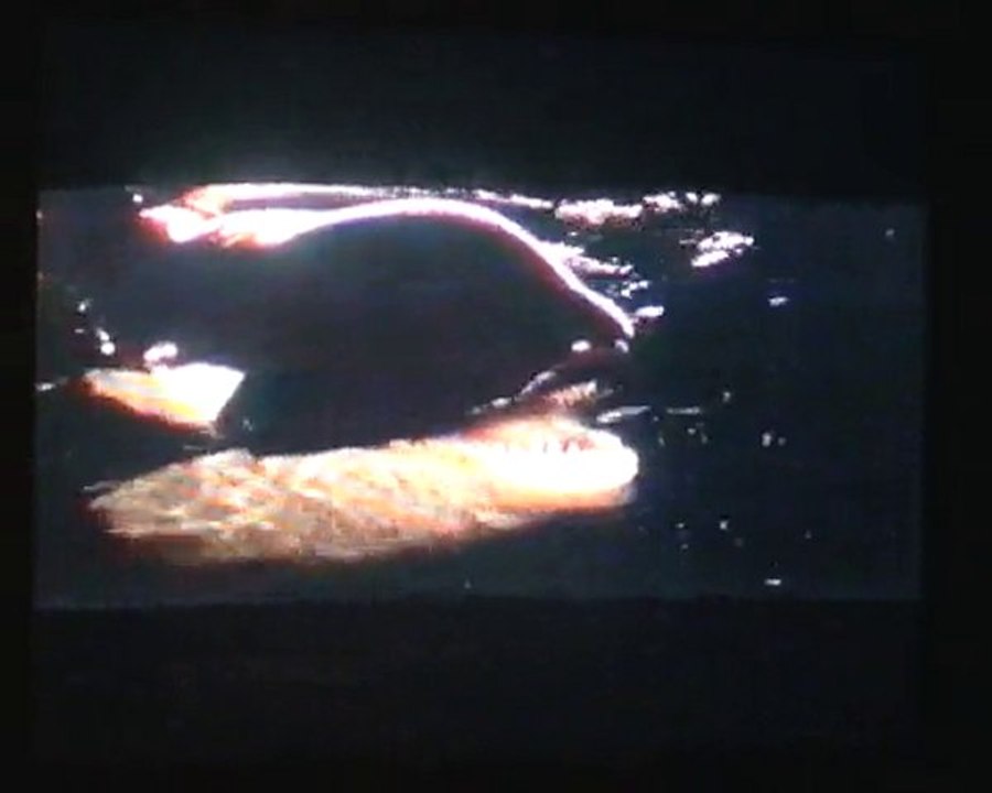 Sauvez Willy 2 [5/5]