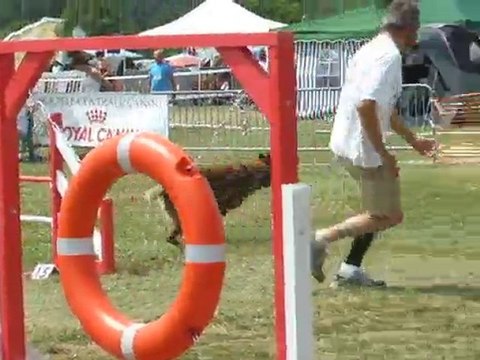 Vietnam Agility 1 Finale GPF Creusot 2010