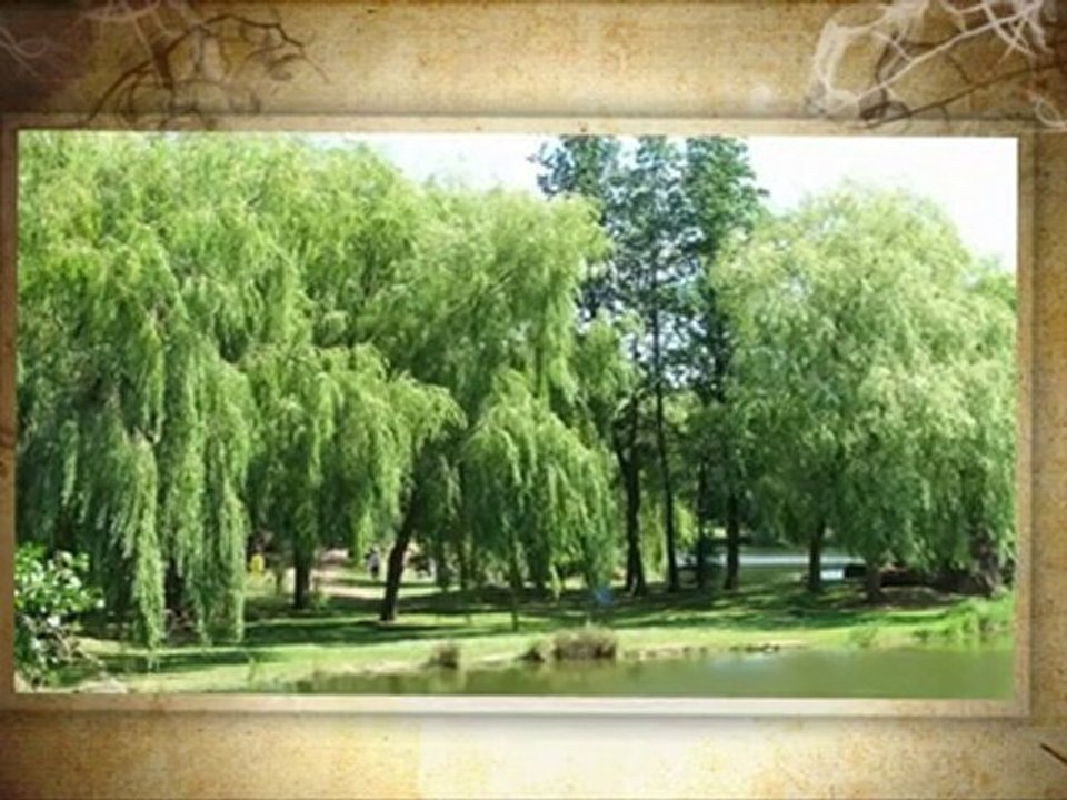 PARC DE LA GLISSOIRE