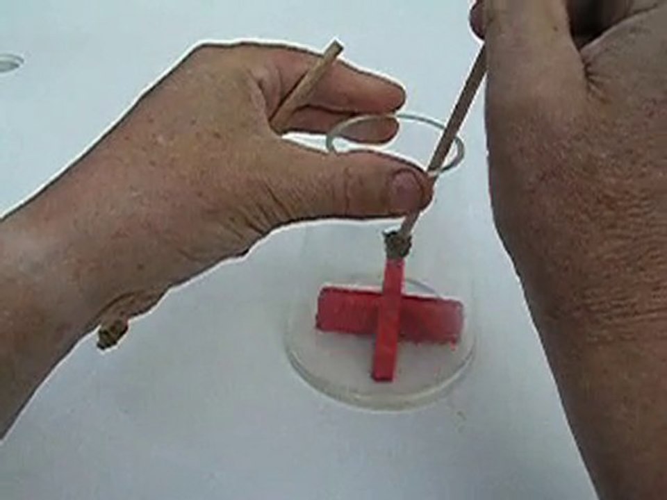 variante de la croix de Nob dans un vase