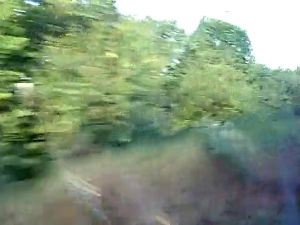 Lo que se ve desde el tren
