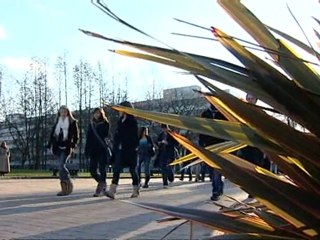 Job-seeking graduates face greater demands