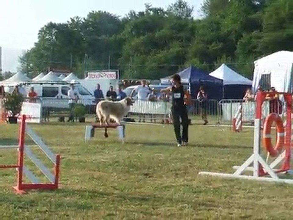 Maybe Agility 2 Finale GPF Creusot 2010