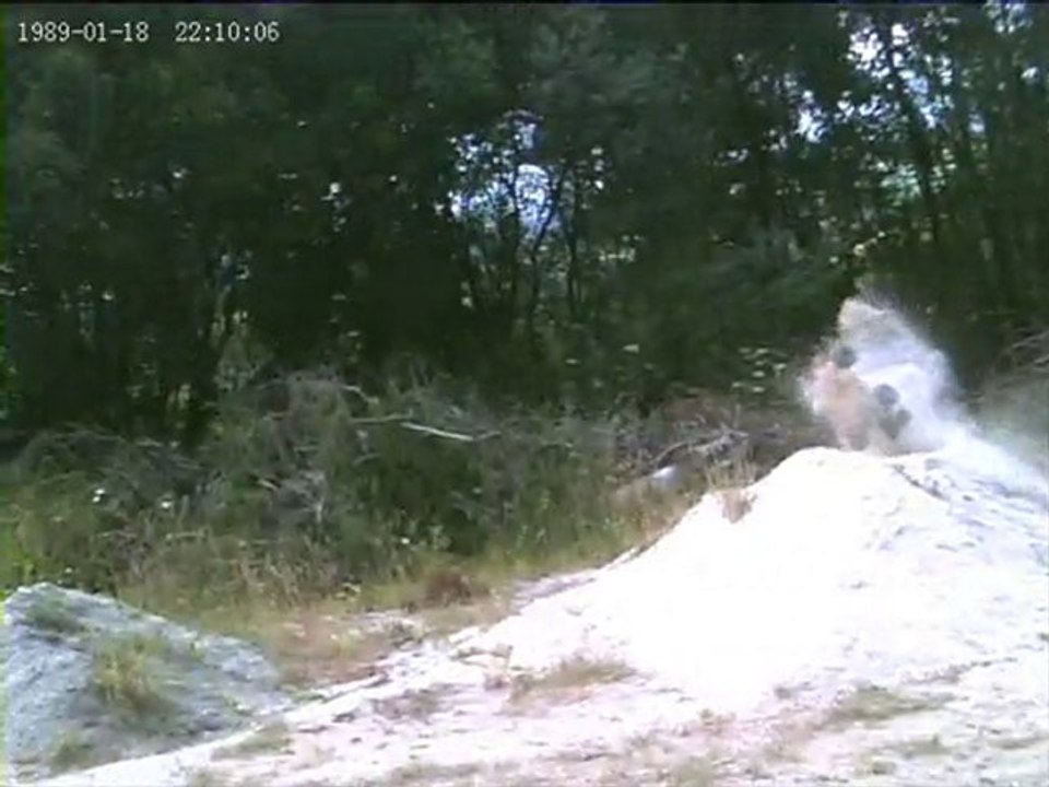 Bash E-revo et E-Maxx BL